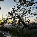 Apartament εξοχική μονοκατοικία με αυλή και εξωτερική αποθήκη-country House With Yard And External Warehouse *