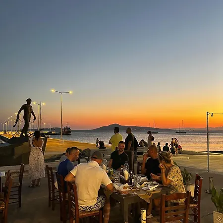 εξοχική μονοκατοικία με αυλή και εξωτερική αποθήκη-country House With Yard And External Warehouse Dhermatianika
