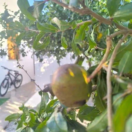 شقة Εξοχική Μονοκατοικία με αυλή και εξωτερική αποθήκη-Country house with yard&external warehouse Dhermatianika