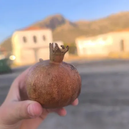 Εξοχική Μονοκατοικία με αυλή και εξωτερική αποθήκη-Country house with yard&external warehouse Appartement Dhermatianika