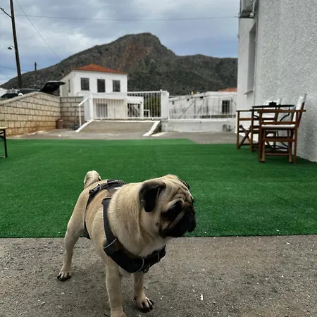 شقة Εξοχική Μονοκατοικία με αυλή και εξωτερική αποθήκη-Country house with yard&external warehouse Dhermatianika