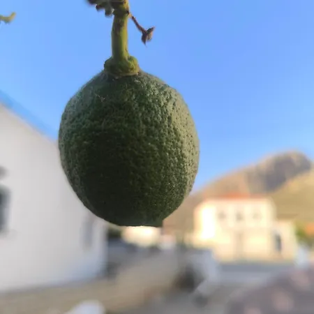 Εξοχική Μονοκατοικία με αυλή και εξωτερική αποθήκη-Country house with yard&external warehouse 4*