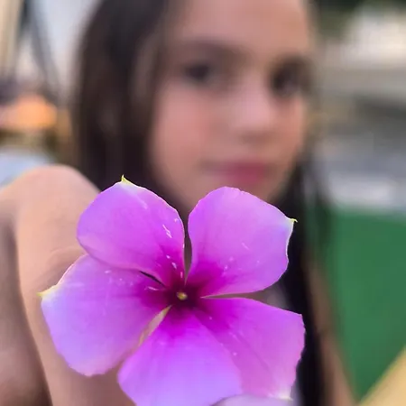 Εξοχική Μονοκατοικία με αυλή και εξωτερική αποθήκη-Country house with yard&external warehouse 4* Dhermatianika