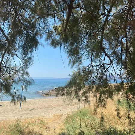 Apartment εξοχική μονοκατοικία με αυλή και εξωτερική αποθήκη-country House With Yard And External Warehouse