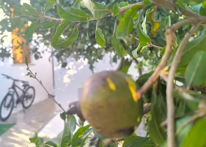 דירה εξοχική μονοκατοικία με αυλή και εξωτερική αποθήκη-country House With Yard And External Warehouse Dhermatianika