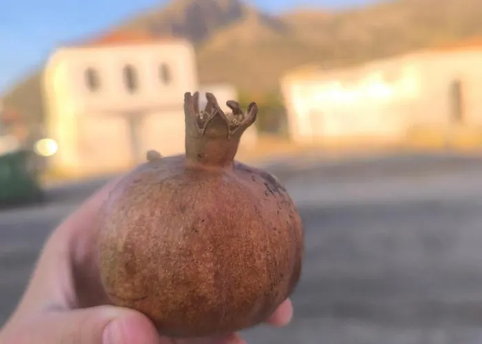 εξοχική μονοκατοικία με αυλή και εξωτερική αποθήκη-country House With Yard And External Warehouse דירה Dhermatianika