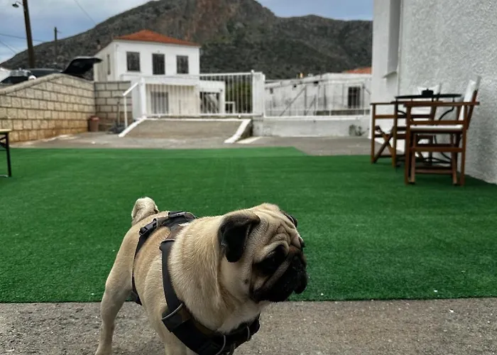 Lejlighed εξοχική μονοκατοικία με αυλή και εξωτερική αποθήκη-country House With Yard And External Warehouse Dhermatianika