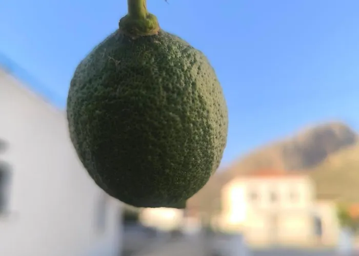 εξοχική μονοκατοικία με αυλή και εξωτερική αποθήκη-country House With Yard And External Warehouse *