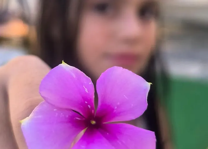 εξοχική μονοκατοικία με αυλή και εξωτερική αποθήκη-country House With Yard And External Warehouse * Dhermatianika